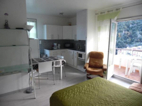 Studio avec Balcon et Terrasse, Parking, à 50m des Cures – 2 étoiles – Animaux Bienvenus - FR-1-703-123